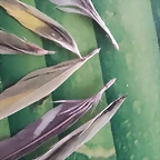20170507_184716