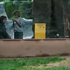 Zoo de Barcelona 14-04-11 210