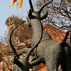 Zoo de Barcelona 14-04-11 579