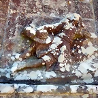 DSCN2207