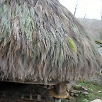DSCN0939