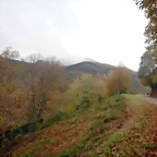 DSCN2924