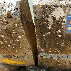 DSCN8108'1