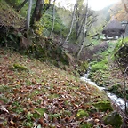 DSCN0481