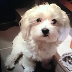 Hugo IG 25-6-2018 (2)