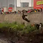 Un hombre salvando a perros de una inundacion