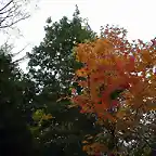 autumn7_jpg