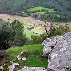 DSCN5541