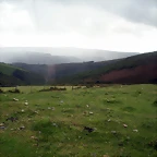 DSCN8424