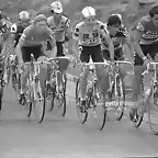 Perico-Tour Suiza 1982-Winnen-Lagu?a-Rooks