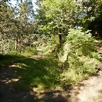 DSCN1648