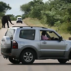 Johannesburg Kruger març 2009 304