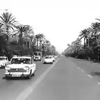 Sevilla Av. de la Palmera  tribujaos