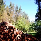 DSCN2302