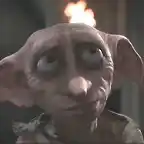 dobby-743954