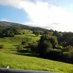 DSCN8732