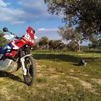 IMG_20190408_184353