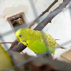 IMG_20180309_165936