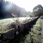 DSCN9780