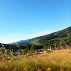 DSCN9699