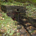 DSCN8717