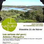 les salines