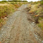 DSCN9879