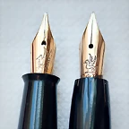 nibs wyvern bien-f2