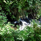 DSCN2421