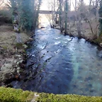 DSCN2564