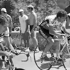 Perico-Tour1987-Mont Ventoux-Millar