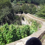 IMG_0781
