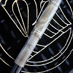 Pelikan_lizard