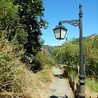 DSCN7792