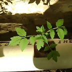 ixg9u1XAuYUpe