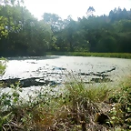 DSCN6176