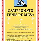 Cartel campeonato ilicitano