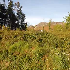 DSCN2116