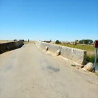 DSCN8182