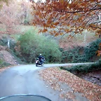 DSCN6769