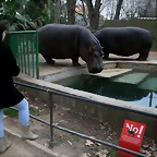 Zoo de Barcelona 28-01-11 048