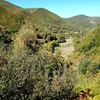 DSCN7822