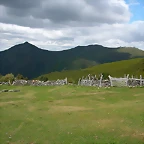 DSCN3269