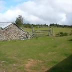 DSCN3268
