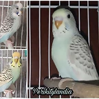 FB_IMG_1546783409016