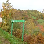 DSCN5895