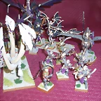 Ejercito (6)