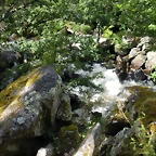 DSCN2774