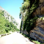DSCN6955