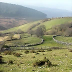 DSCN8140